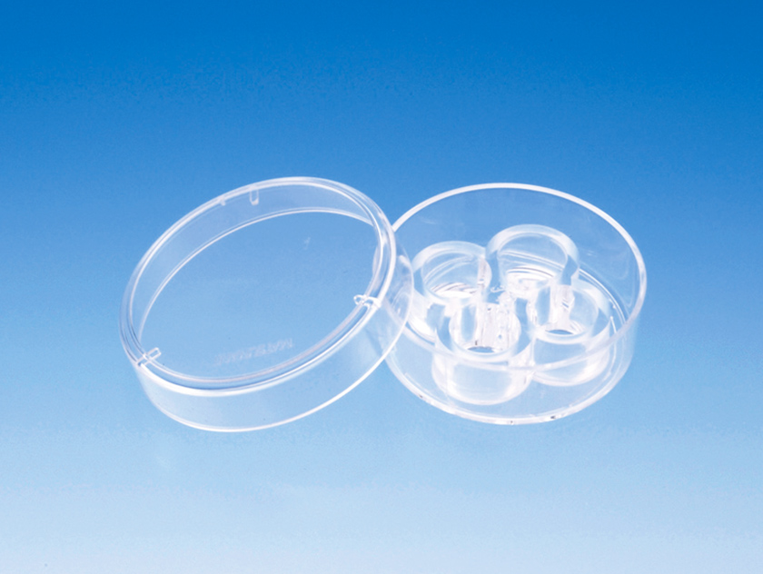 日本原装进口Matsunami松浪硝子35mm四孔玻璃底细胞培养皿D141400、D141410 日本原装进口Matsunami松浪硝子35mm四孔玻璃底细胞培养皿D141400、D141410