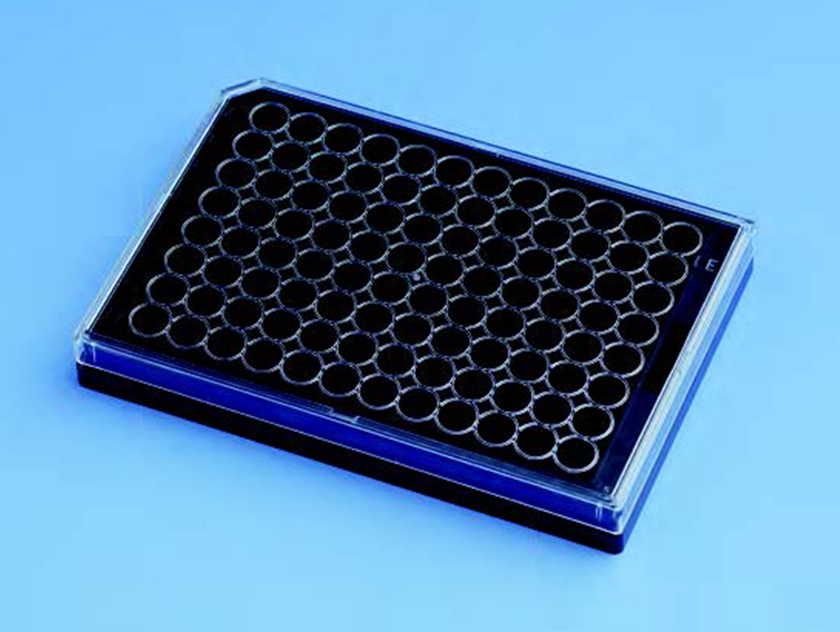 日本原装进口Matsunami松浪硝子96孔玻璃底培养板96 well glass bottom plate 日本原装进口Matsunami松浪硝子96孔玻璃底培养板96 well glass bottom plate