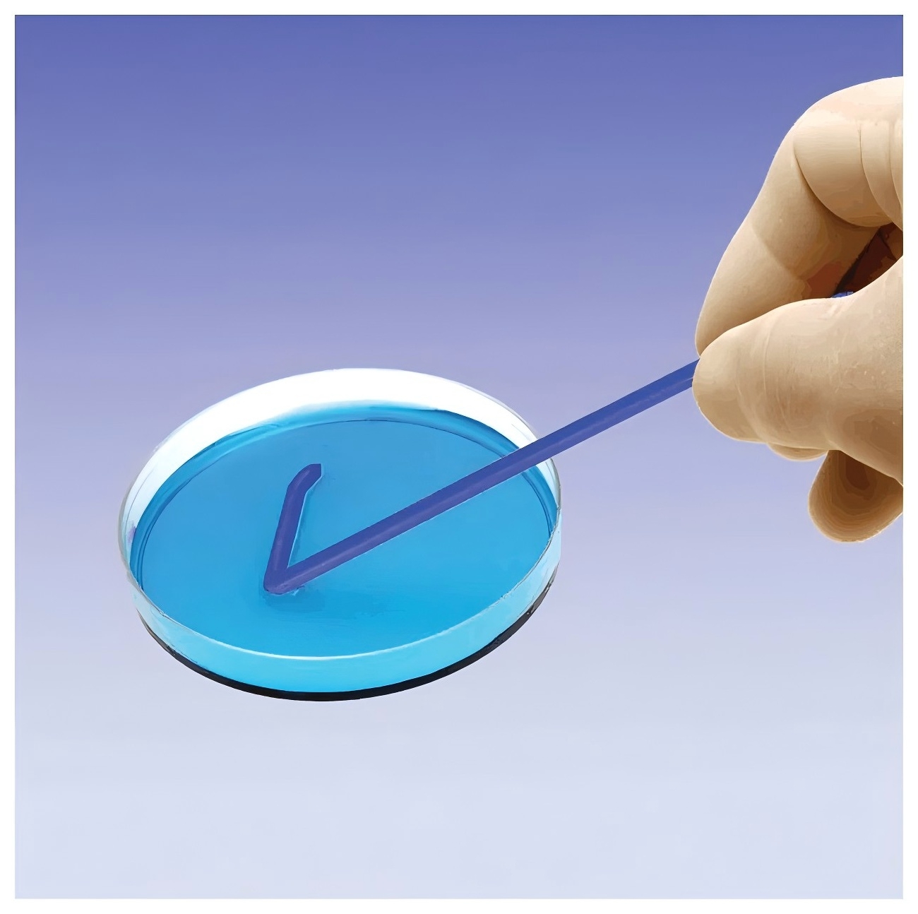 Fisherbrand L型涂布棒Fisherbrand L-Shaped Cell Spreaders Fisherbrand L型涂布棒Fisherbrand L-Shaped Cell Spreaders